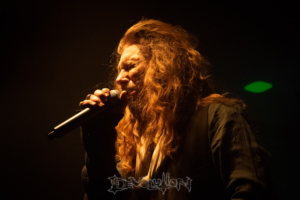 Dead Daisies