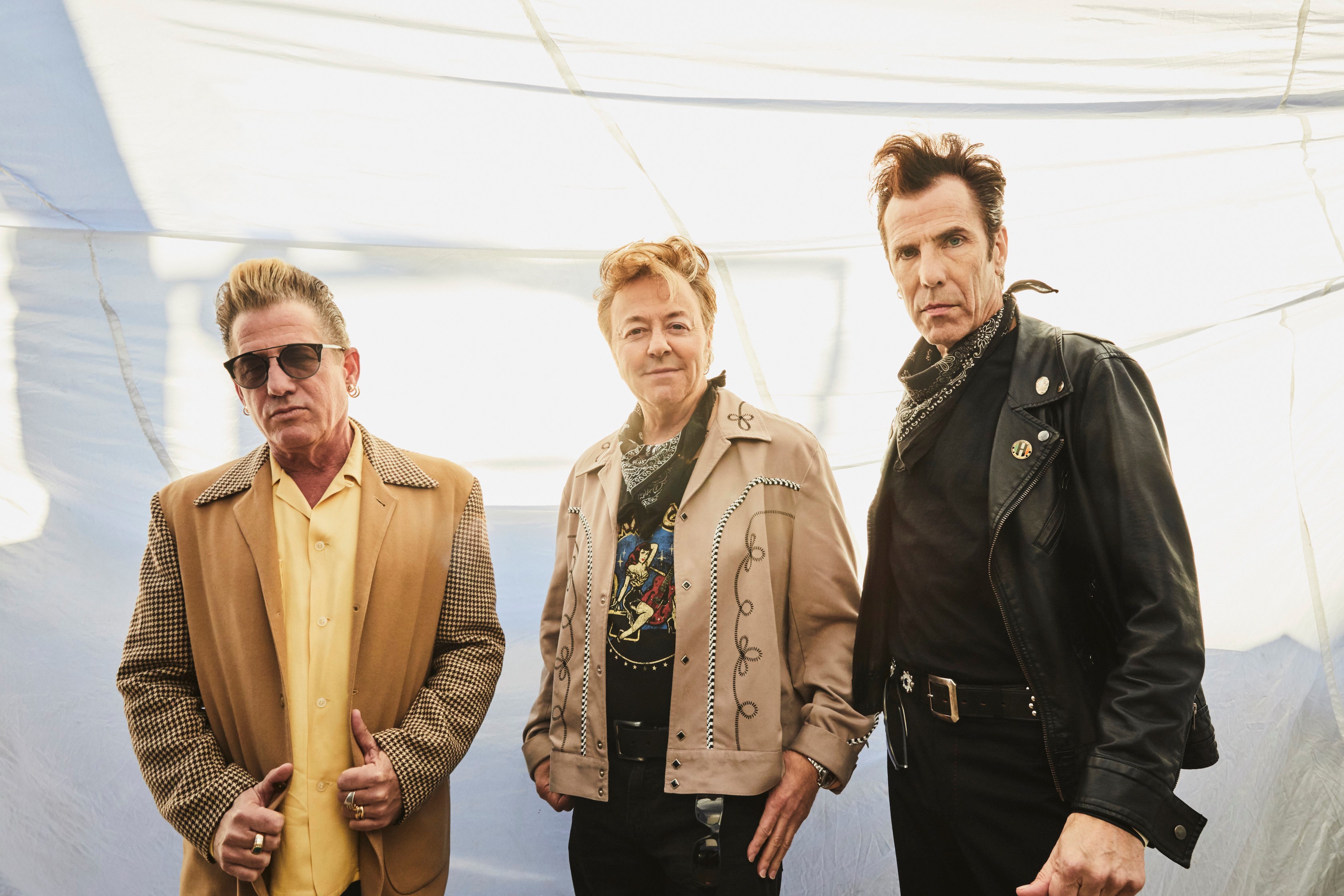 straycats3