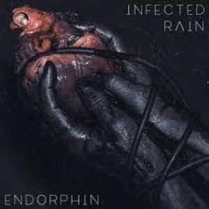 ir-end