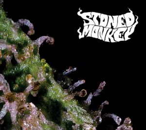 stoned-monkey
